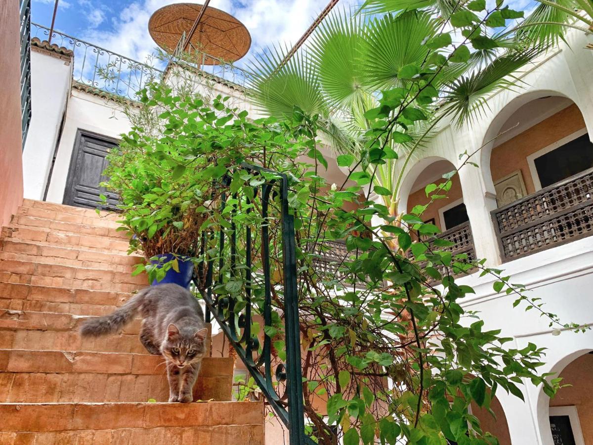 Riad Rockech Marrakesh Exterior foto